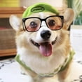thumbnail image 4 of Harikaji Dog Beret Hat, Dog Cap with Adjustable Elastic Strap, Dog Costume Hair Accessory Photo Props, Pet Hat for Cat Small Medium Dog (Head Girth<14.5") Green, 4 of 7