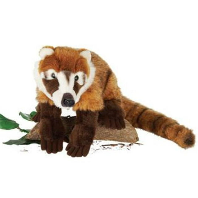 13 Po. Peluche Coatimundi Boîte de 12