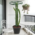 thumbnail image 4 of YIEMEEN Stackable Potted Plant Climbing Trellis Plant Support Poles For Vertical Greening In Small locations Or Large Spaces, 4 of 8