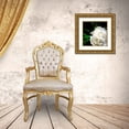 thumbnail image 3 of Calkins, Michelle 26x26 Gold Ornate Wood Framed with Double Matting Museum Art Print Titled - White Peony, 3 of 4