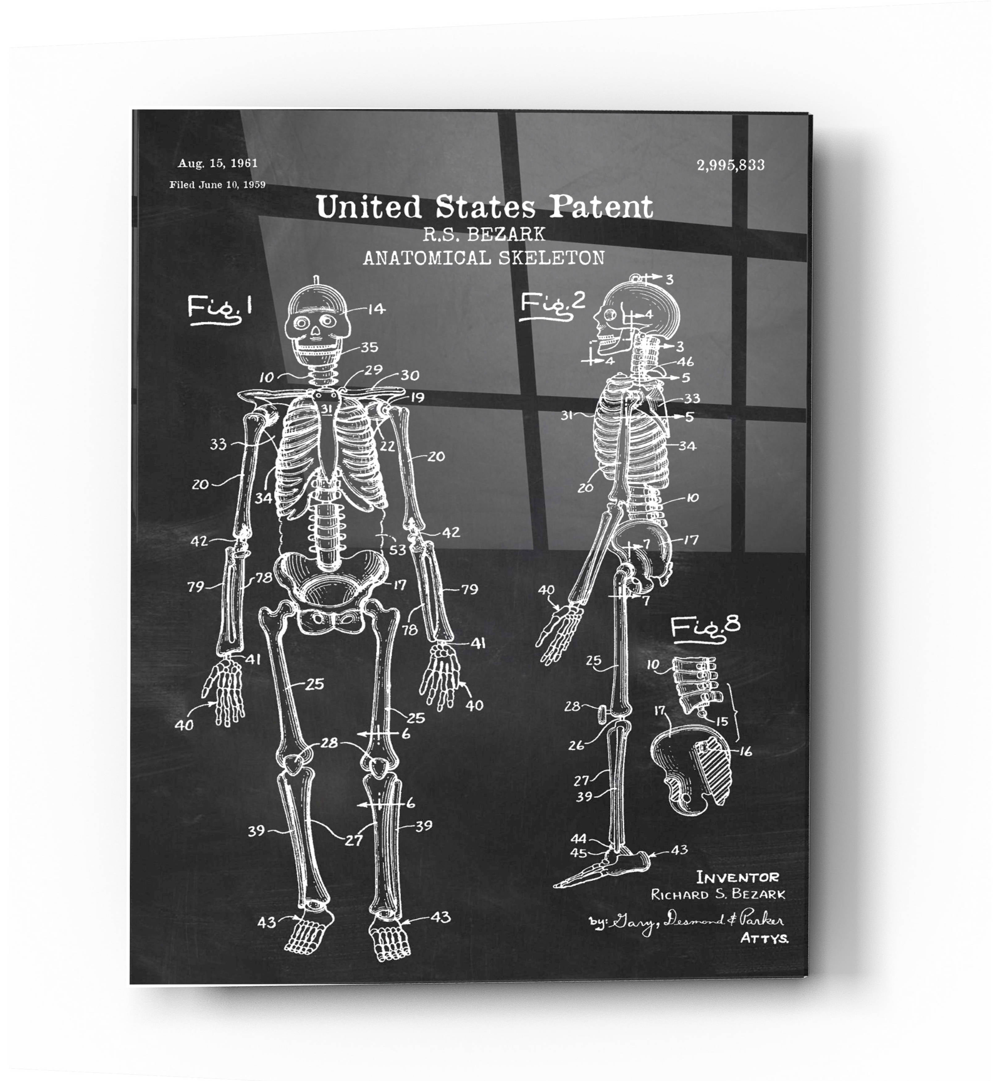 Size and Frame Options Anatomical Human Skeleton Bones Patent Wall Art Print