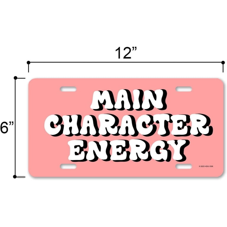 Funny 'Always Late BUT Worth The Wait' License Plate Frame - Chrome Steel, 6x12 Standard Size