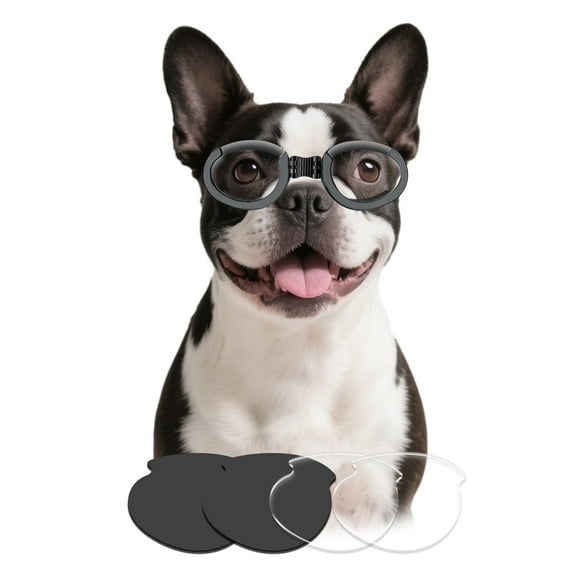 Gafas para Perros Namsan Claras para Razas Medianas con 2 Lentes