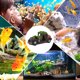 thumbnail image 4 of BESTYASH Decorativo De Resina Con Carro Naufragado Y Musgo Para Acuario De Peces, 4 of 6