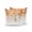 Burnt Orange, variant on Waterproof Outdoor Throw Pillows with Inserts 16"x16" Set of 2,Orange Eucalyptus Leaves Soft Decorative Pillowcases for Couch Bedroom,Spring Floral Summer Botanical Pillow Covers for Sofa Living Room