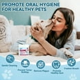 thumbnail image 2 of (2 pack) All For Paws Dog Teeth Cleaning Wipes, Peppermint & Green Tea Flavor, 50cts Dental Finger Wipes, 2 of 7