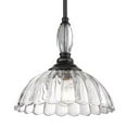 thumbnail image 4 of Audra 1-Light Pendant in Matte Black and Clear Glass, 4 of 4