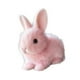 thumbnail image 3 of Electronic Plush Bunny Companion Plush Animal Can Jump and Make Sound Stuffed Animal Soft Plush Toy for Easter Boys and Girls, 3 of 5