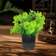 thumbnail image 6 of Artificial Green Potted Plant for Home Decor - Realistic Plastic Faux Plant for Indoor Arrangements, Tv Cabinet, Desk, and Living Room, 6 of 6