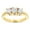 Yellow, variant on 14K Three Stone Natural 1 Ctw Diamonds Past Present Future Engagement Ring (Rose Gold Size 6.5)
