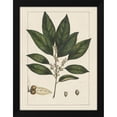 thumbnail image 2 of John Silva 12x14 Black Modern Wood Framed Wall Art Titled - Custom Silva Leaves IV (ASH), 2 of 6
