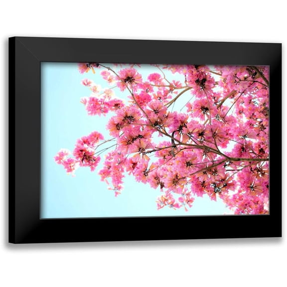 Peck, Gail 14x11 Black Modern Framed Museum Art Print Titled - Pink Floral Branch