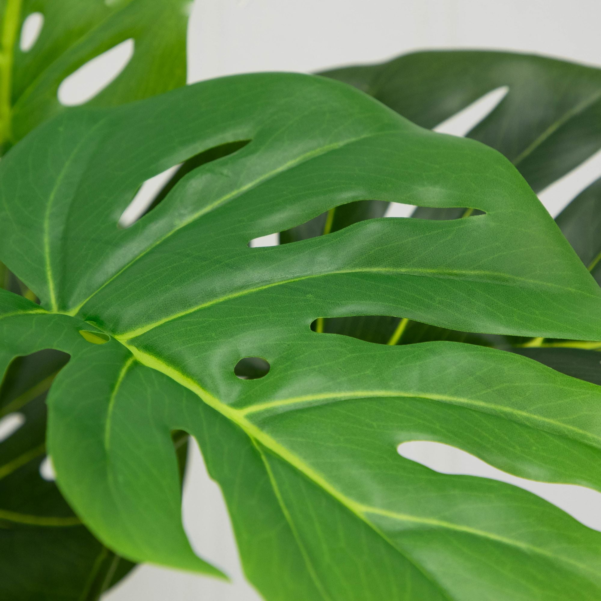 Mainstays 20"H Artificial Indoor Monstera Plant in Plastic Vanilla Plant Container