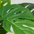 thumbnail image 5 of Mainstays 20"H Artificial Indoor Monstera Plant in Plastic Vanilla Plant Container, 5 of 8