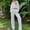 White, variant on Babysbule Womens Fall Plus Top Sets Outfit Women Collar Solid Long-sleeved Round Neck Short Blouses Add Pants Suit