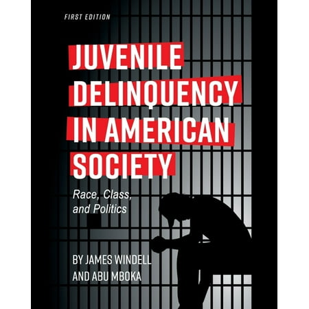 Juvenile Delinquency in American Society: Race Class and Politics (Paperback)