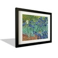 thumbnail image 1 of Irises by Vincent VAn Gogh Garden Flowers botanical Canvas print, 1 of 5