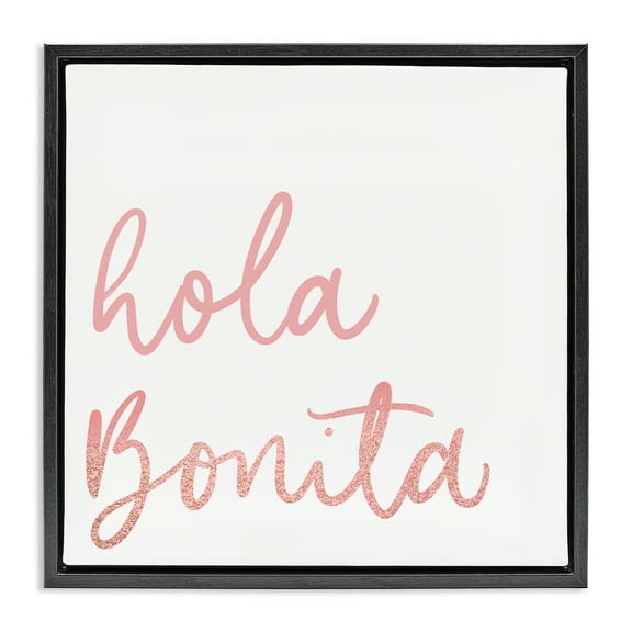 Stupell Industries Hola Bonita Rosa Inspirational Quotes & Sayings Painting Black Floater Framed Art Print Wall Art, 18 x 18