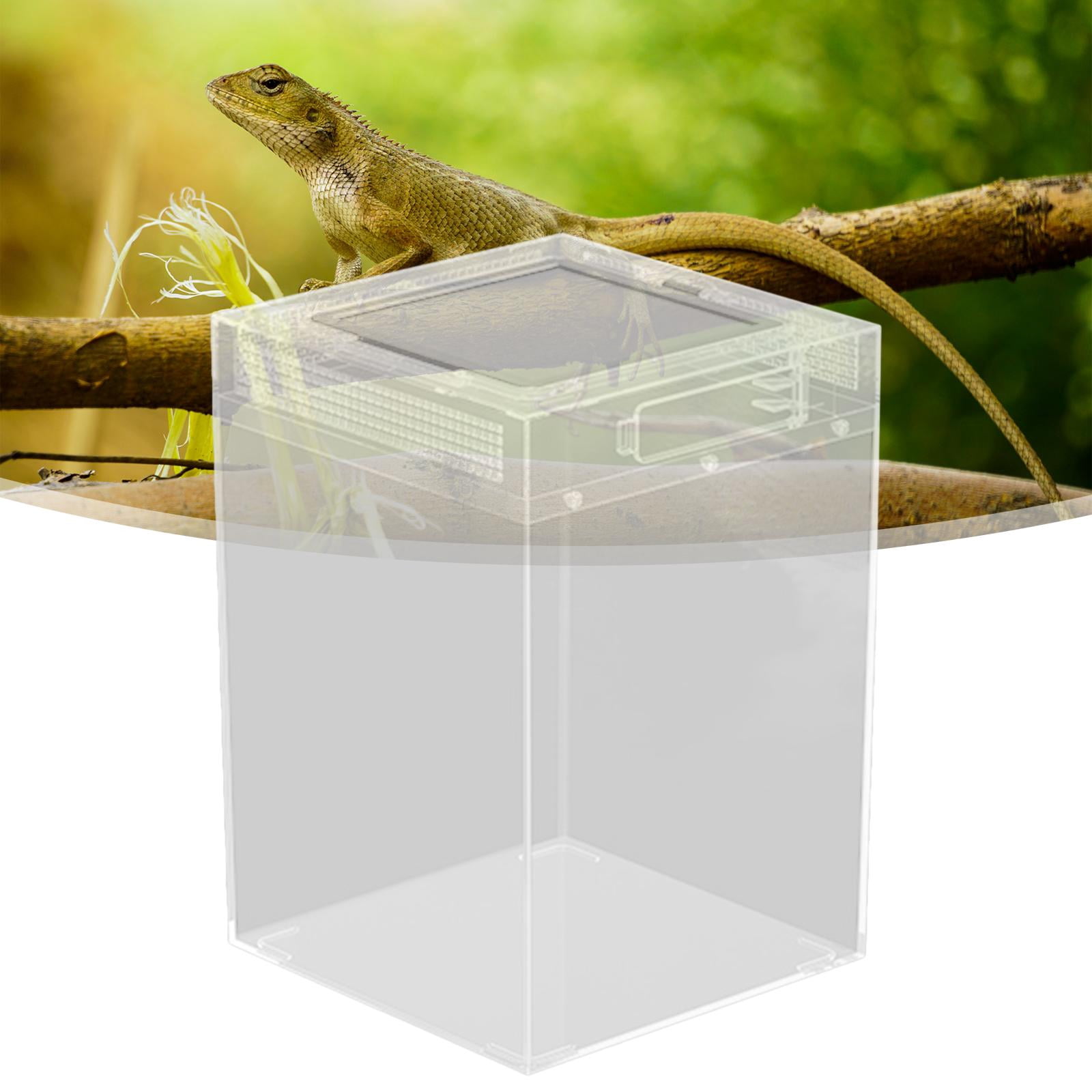 CarpNettore Reptile Terrarium Habitat Cage Portable Clear Reptile Breeding Box Container for L