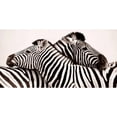 thumbnail image 3 of Anonymous 18x11 Black Modern Framed Museum Art Print Titled - Zebras in love, 3 of 5