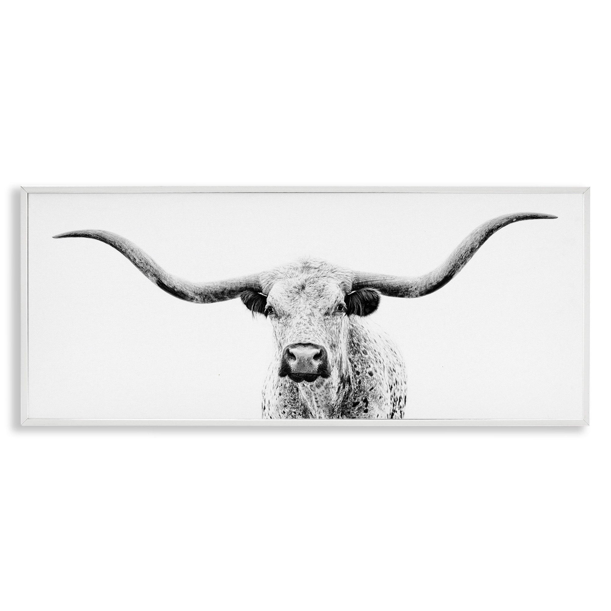 Stupell Industries Longhorn Cattle Gazing Modern White Photography Design Graphic Art White Framed Art Print Wall Art, Design by PHBurchett