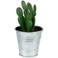 thumbnail image 4 of Northlight 3.5" Tropical Cactus in Tin Pot Artificial Potted Plant - Red/Green, 4 of 6