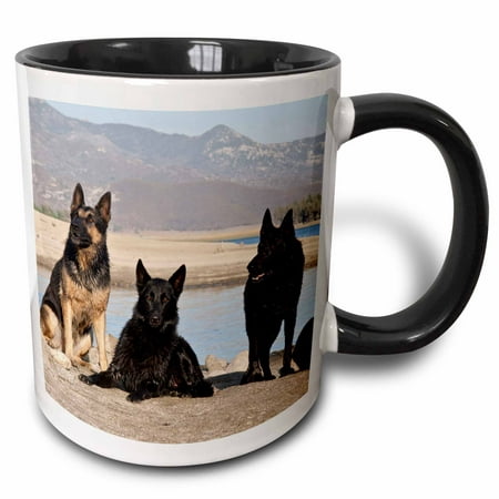 3dRose Four German Shepherd dogs - US05 ZMU0361 - Zandria Muench Beraldo - Two Tone Black Mug,