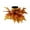 Maple Leaf, variant on Almencla Thanksgiving Candle Holder Lifelike Candle Stick for Autumn Harvest Festival Pumpkin