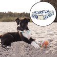 thumbnail image 5 of Dog Collar and Leash Set Combo Safety Set for Daily Outdoor Walking Running Training Small, 5 of 5