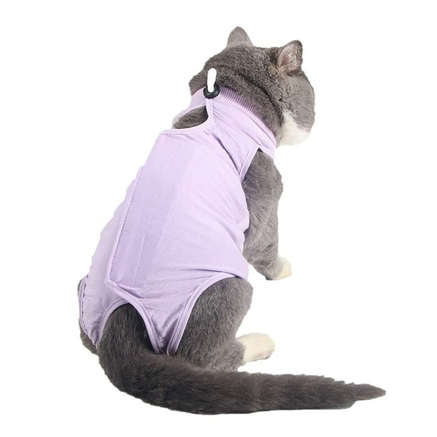 Traje de recuperación para gatos para heridas abdominales o enfermedades de la piel Mono para gatos después de la cirugía Traje de recuperación para gatitas femeninas Collar electrónico transpirable a