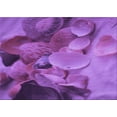 thumbnail image 1 of Ahgly Company Machine Washable Indoor Rectangle Transitional Heliotrope Purple Area Rugs, 7' x 9', 1 of 7