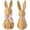 White, variant on Qiopertar Rattan Effect Resin Easter Bunny Figurines Set, Realistic Wicker Look Easter Decor Statues With Bows, Spring Table Centerpiece Indoor Outdoor Garden Patio Yard Decorations, Khaki