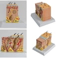 thumbnail image 2 of Anatomical Skin Model Human Skin Structure Anatomy Model Medical Teaching Aids for Diseases Study Medical Lecture Report, 2 of 7