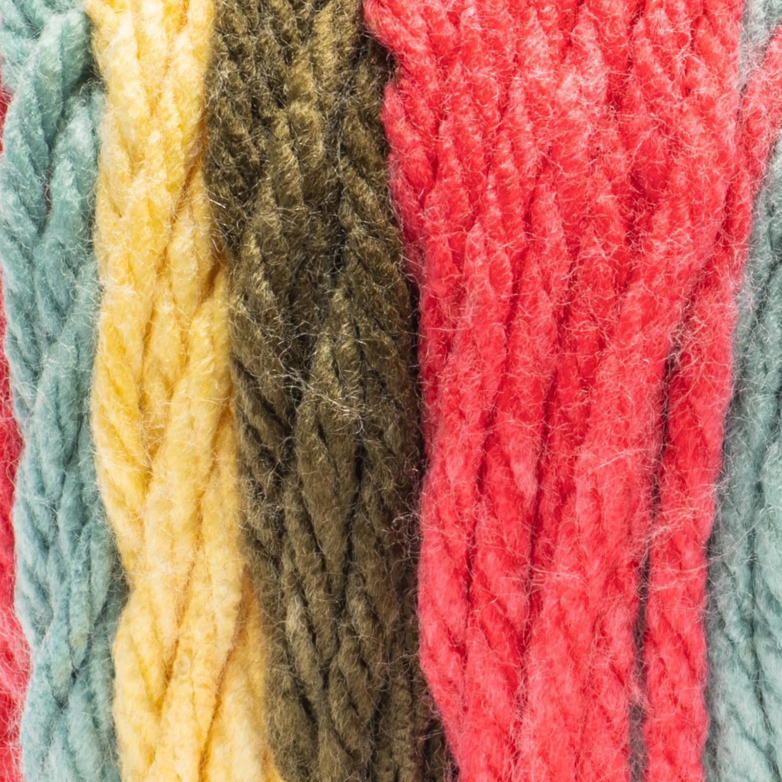 Red Heart® Super Easy™ #6 Super Bulky Acrylic Yarn, Garden Party 7oz/198g 189 Yards (3 Pack)