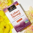 thumbnail image 3 of Bravo Tea Kidney Strong Tea 20 BAG, 3 of 5