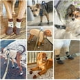 thumbnail image 3 of 4 calcetines antideslizantes para perros que evitan que se laman las patas. Botas reflectantes con agarre para pavimento frío/caliente. Protectores de patas antideslizantes para suelos de madera,, 3 of 5