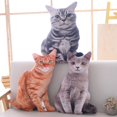 thumbnail image 2 of 1pc 40cm Simulation Plush Cat Pillows Soft Stuffed Animals Cushion Sofa Decor Cartoon Plush Toys for Children Kids Gift, 2 of 5