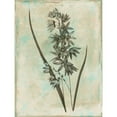 thumbnail image 3 of Grey, Jace 19x24 Black Modern Framed Museum Art Print Titled - Earthy Blend, 3 of 5