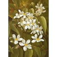 thumbnail image 2 of Fasani 14x18 Gold Ornate Wood Framed with Double Matting Museum Art Print Titled - CLEMATIS, 2 of 4