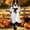 White Dresses for Women, variant on Ygbgbb Women's Long Sleeve VβNeck Midi Dress, Lace Trim Bow Waist Medieval Gothic Dress for Halloween Cosplay Themed Parties Black S