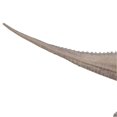 thumbnail image 4 of Dinosaur Model Toy Lifelike Educational Develop Hands On Skills Dinosaur Model Figure for Children Type 2, 4 of 4