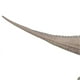 thumbnail image 4 of Dinosaur Model Toy Lifelike Educational Develop Hands On Skills Dinosaur Model Figure for Children Type 2, 4 of 4