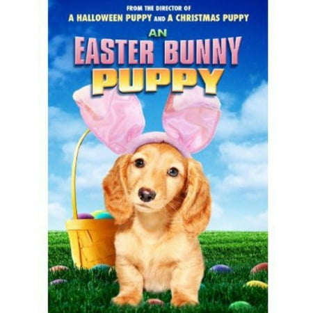 An Easter Bunny Puppy