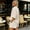 Beige women's 2 piece short set a1, variant on Cagogo Women's 2 Piece Short Set Solid Collared Short Sleeve Shirt Drawstring Shorts Casual Summer Outfits Loose Tops Comfy Pants Matching Lounge Sets Travel Airport Clothes, Black XL