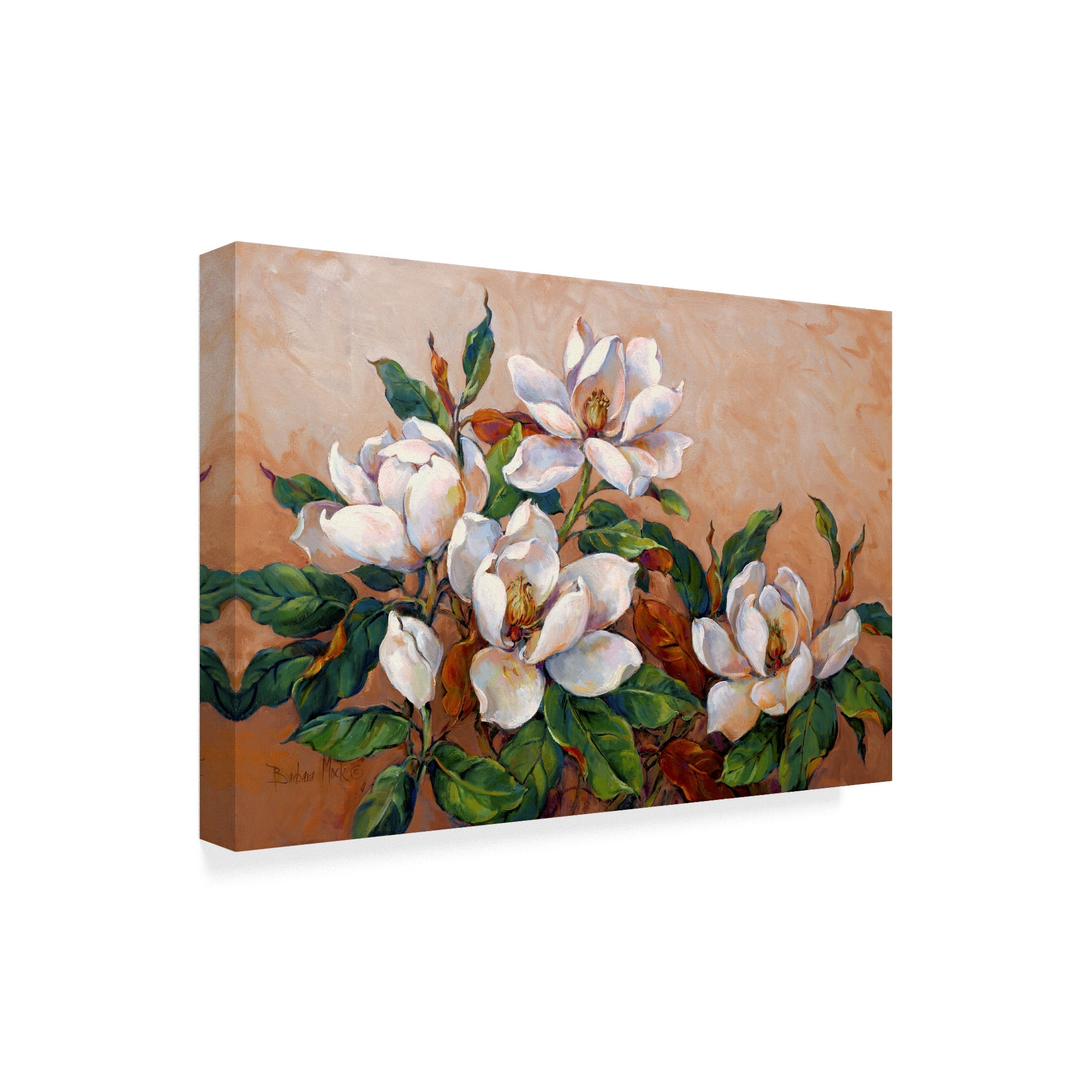 Trademark Fine Art ' Magnolia Inspiration' Canvas Art by Barbara Mock