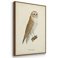 thumbnail image 3 of French Owls IV - Framed Premium Gallery Wrapped Canvas L Frame 3 Piece Set - Ready to Hang, 3 of 9