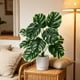 thumbnail image 5 of Artificial Monstera Deliciosa Bonsai Indoor Artificial Plants Desktop Ornament Suitable For Home Decoration In Living Rooms Offices And Bedrooms, 5 of 6