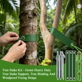 thumbnail image 4 of Heavy Duty Tree Stake Kit, Green Support Straps for Young Trees, Windproof Tree Straightening System, Rhombus Shaped Anchoring Set for Garden Yard Stability, 4 of 5