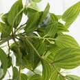 thumbnail image 2 of Decoración de boda estilo bosque flores colgantes de pared de plantas verdes simuladas - 96 piezas de hojas de cejas moradas - blanco y verde material: plástico tamaño total ANGGREK Otros, 2 of 8
