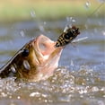 thumbnail image 5 of WIFKLSIIPG Attrape-Cigales Attractif pour Eau Douce Poisson Bar / Matériel de Pêche Réaliste en Forme de Cigale Fournitures de Pêche Hameçon Fort Réutilisable, 5 of 5